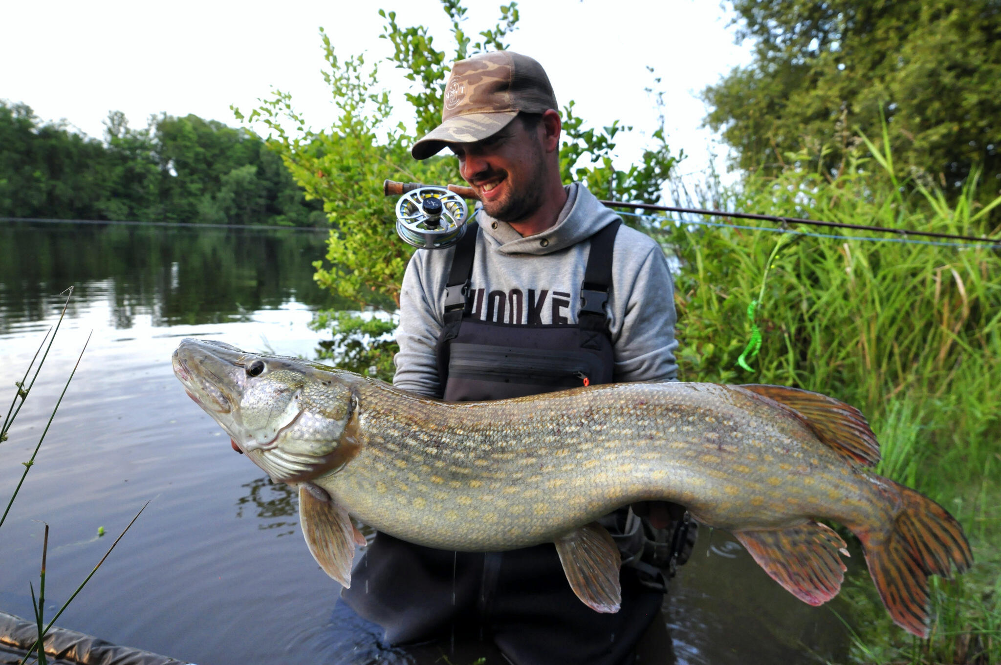 La pêche du brochet à la mouche en été Truites & Cie